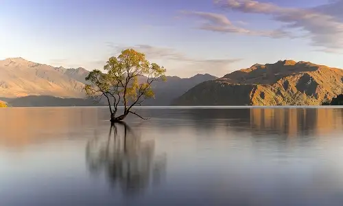 Wanaka