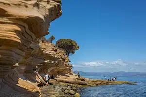 Maria Island Day Tour
