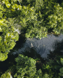 Masons Swimming Hole Cairns Cape Tribulation