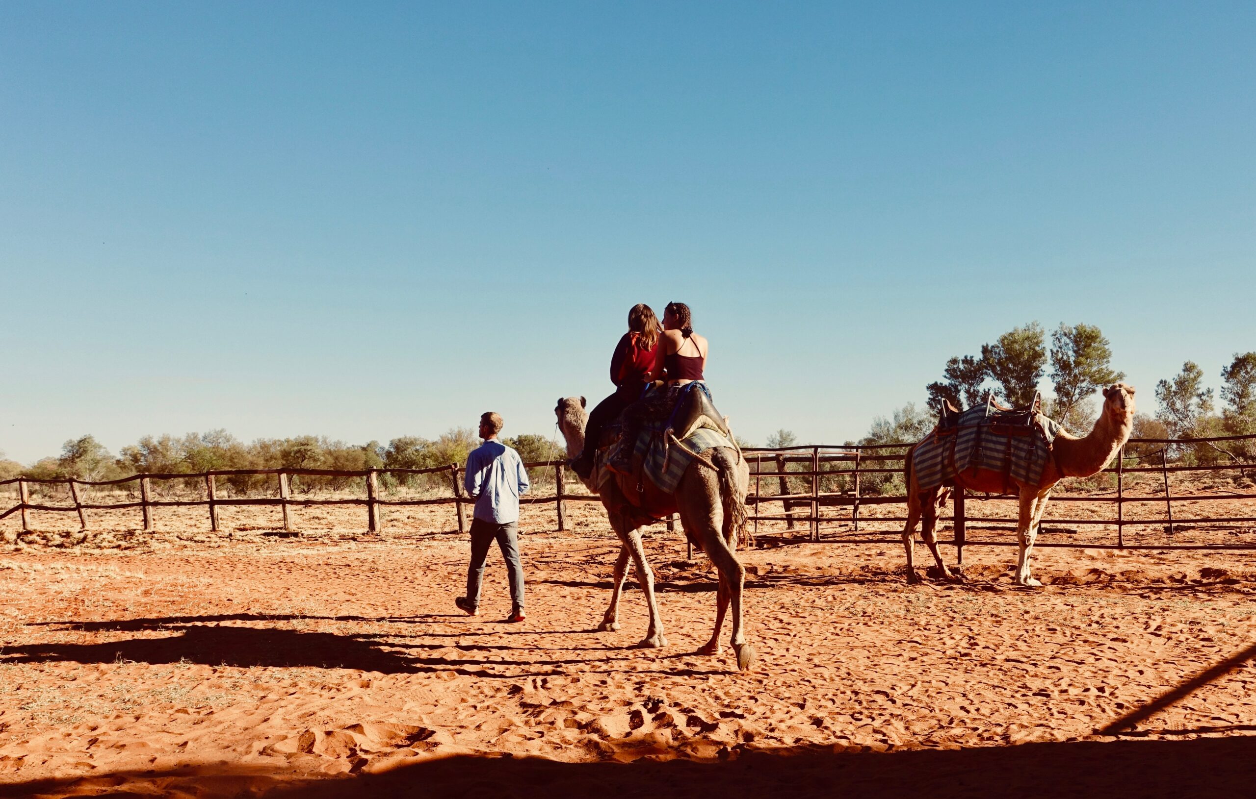 camel ride