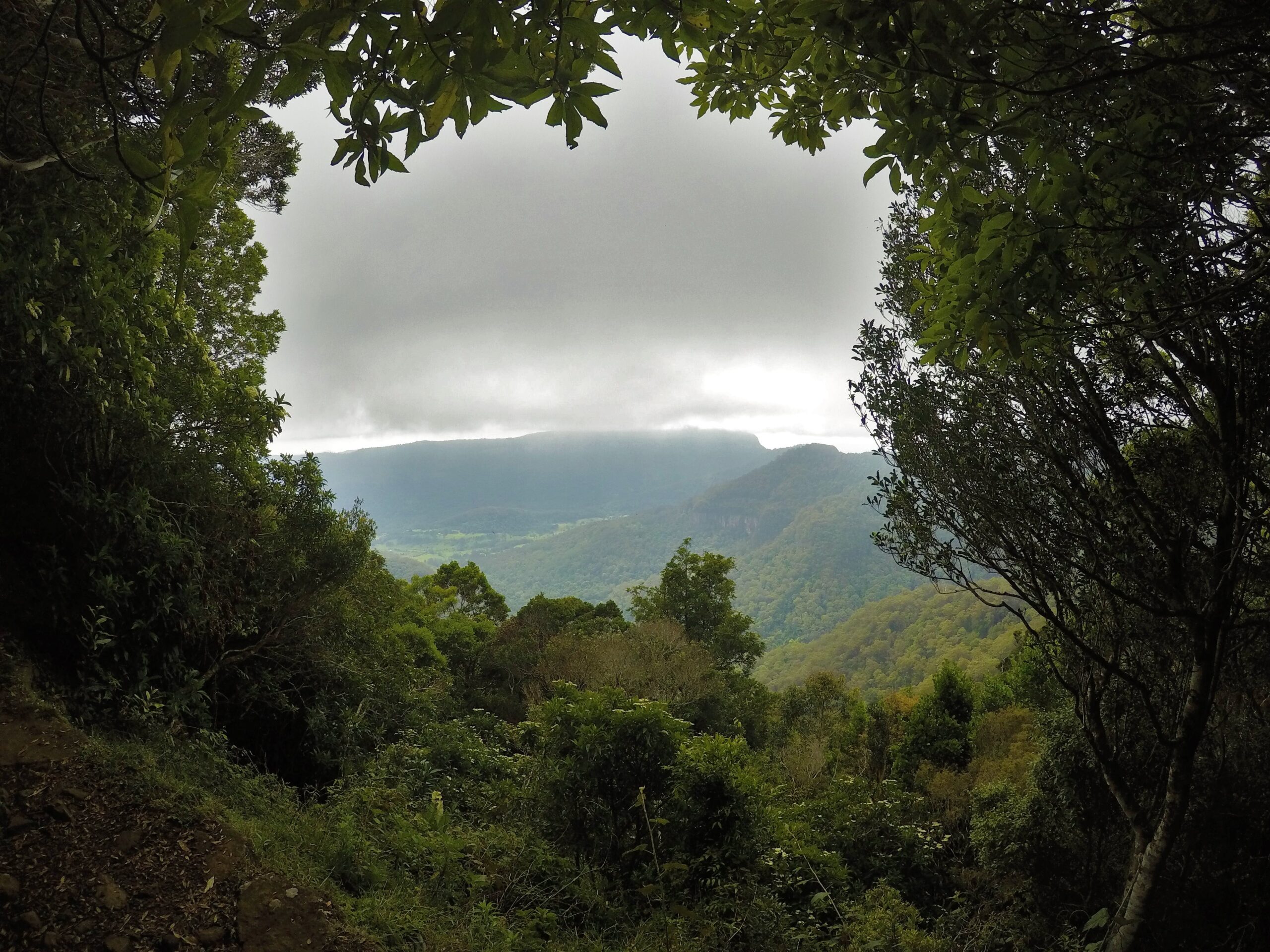 These green hills, also known as the hinterlands, is a real outdoor wonderland. Two of the national parks are World Heritage Listed. And for good reason!