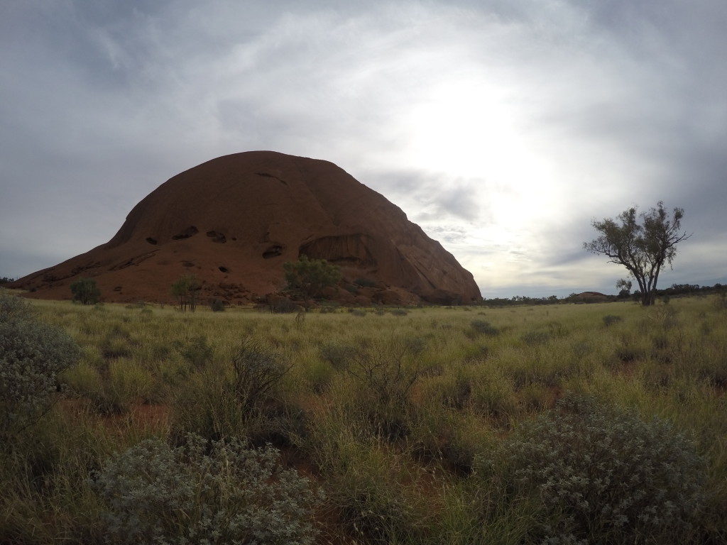 ULURU