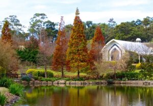 Hunter Valley in autumn