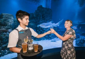 cairns aquarium by twilight