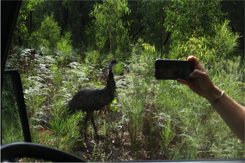 grampians