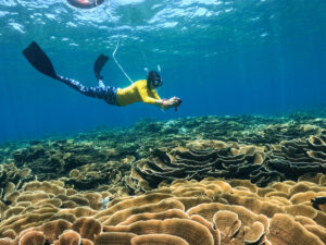 frankland islands cairns