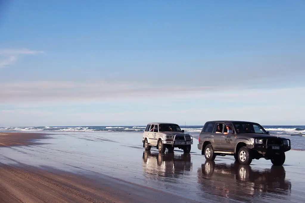 Fraser Island Tour