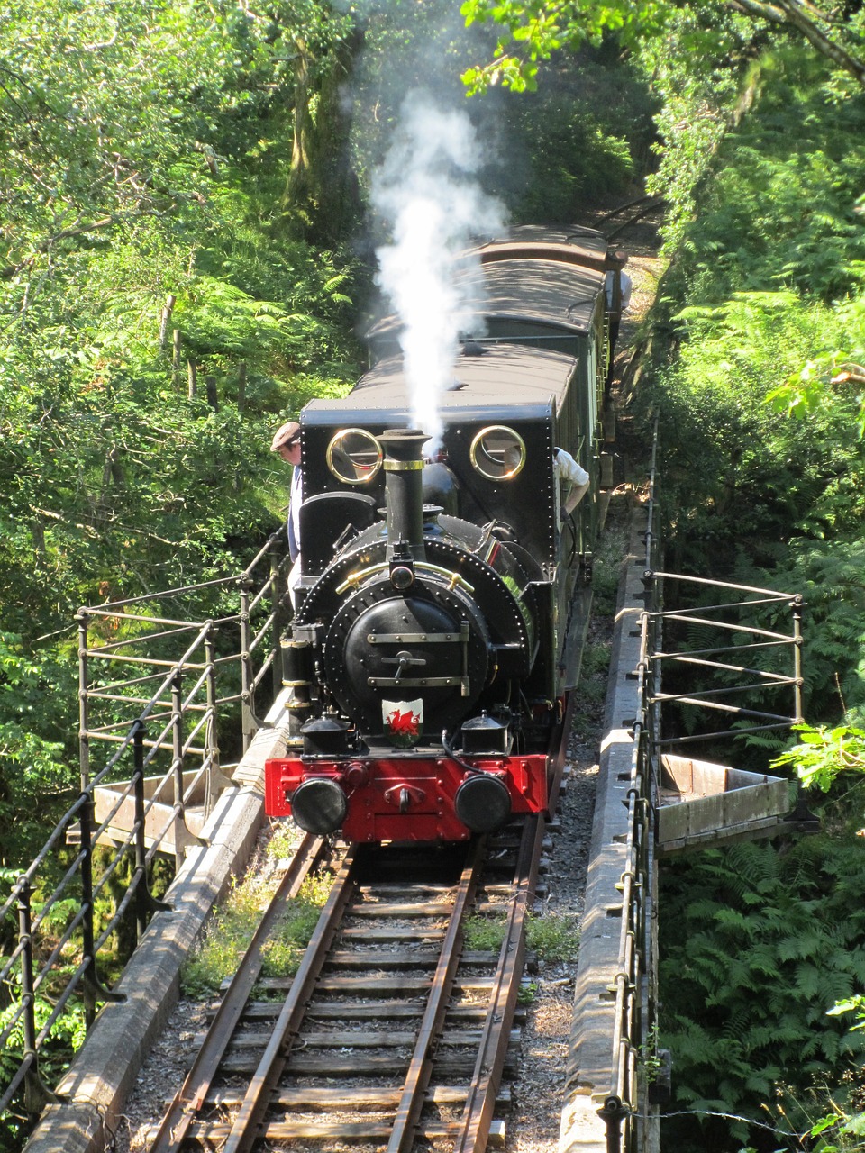 steam-train-1003138_1280