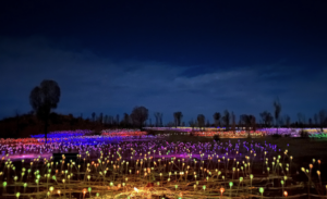 Field of Lights Uluru Landscape Shot