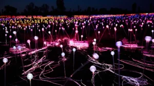 Uluru field of light