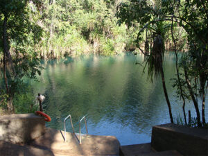 berry springs nt