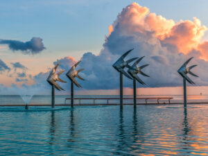 Cairns Esplanade woven fish at dusk