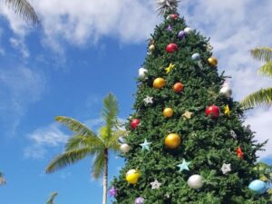 cairns in december - giant decorated christmas tree with palm trees in the background