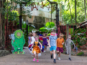 cairns in may cairns childrens festival