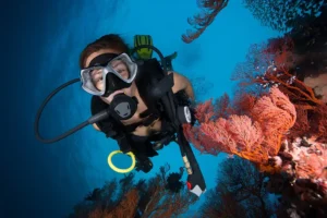 cairns night dive barrier reef