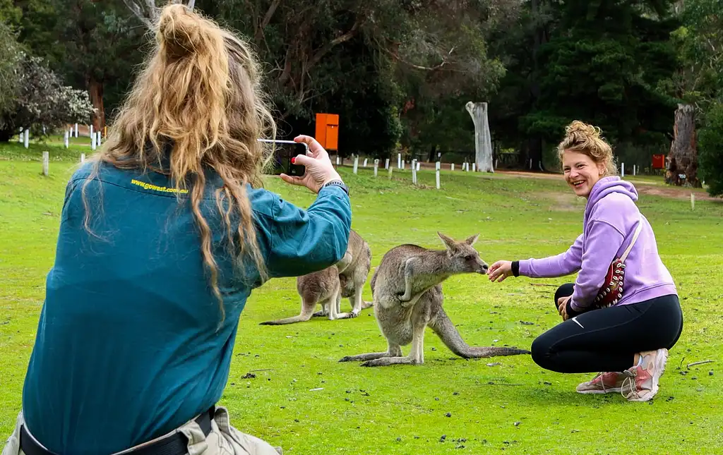 Grampians National Park Day Tour | From Melbourne