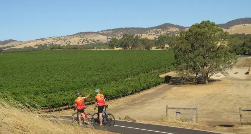 3 Day Self-Guided Cycling Tour of the Barossa & Clare Valley