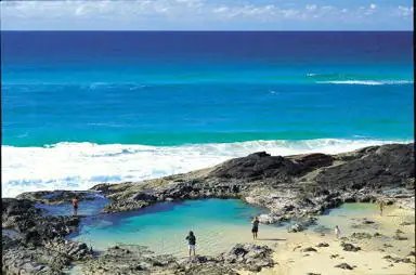 Unique Fraser Island - Full Day Tour