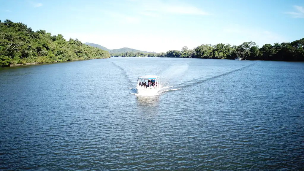 Bruce Belcher's 1 Hour Daintree River Cruise