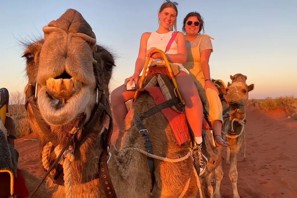 Uluru Sunset Camel Ride Experience