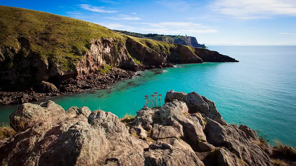 Christchurch Full-Day Guided Crater Rim Walk