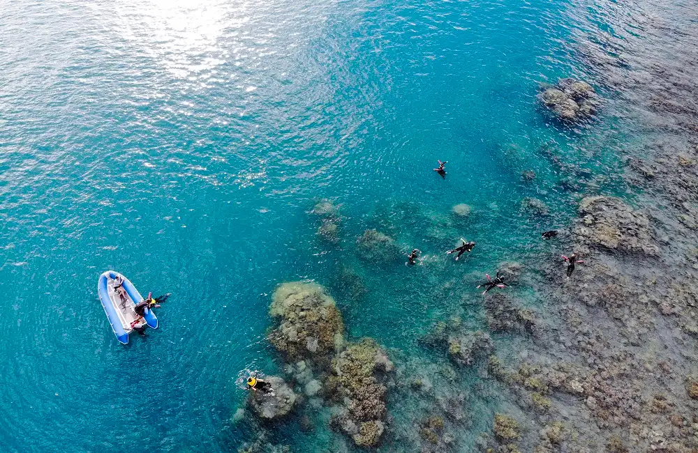 Whitsundays Day Cruise and Tour