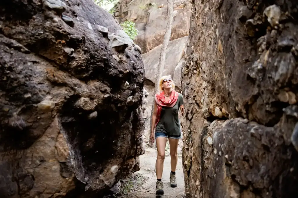 Katherine Gorge Cruise & Edith Falls Tour | From Darwin