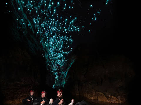 Glow Worm Cave Tour: Gold Coast | Backpacker Deals