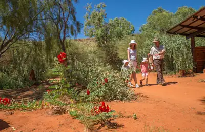 Alice Springs Desert Park - Day Entry