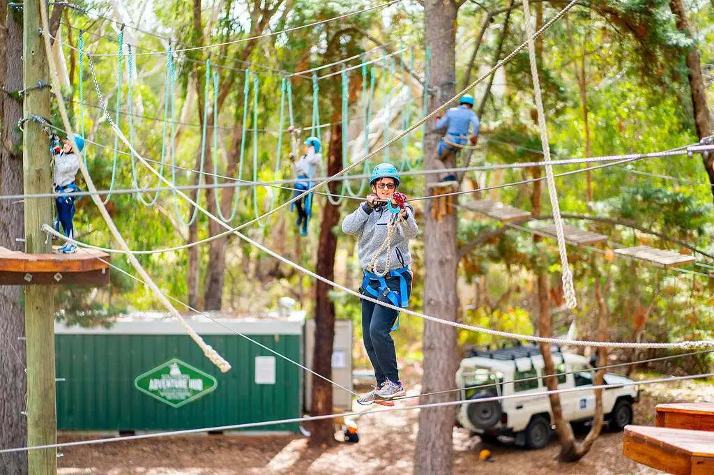 Rock Climb & Ropes Course - Southern Adventure Hub