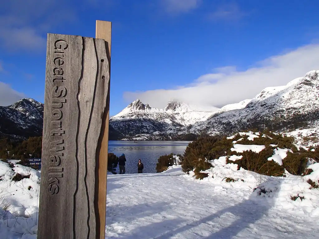 Cradle Mountain World Heritage Day Tour from Launceston