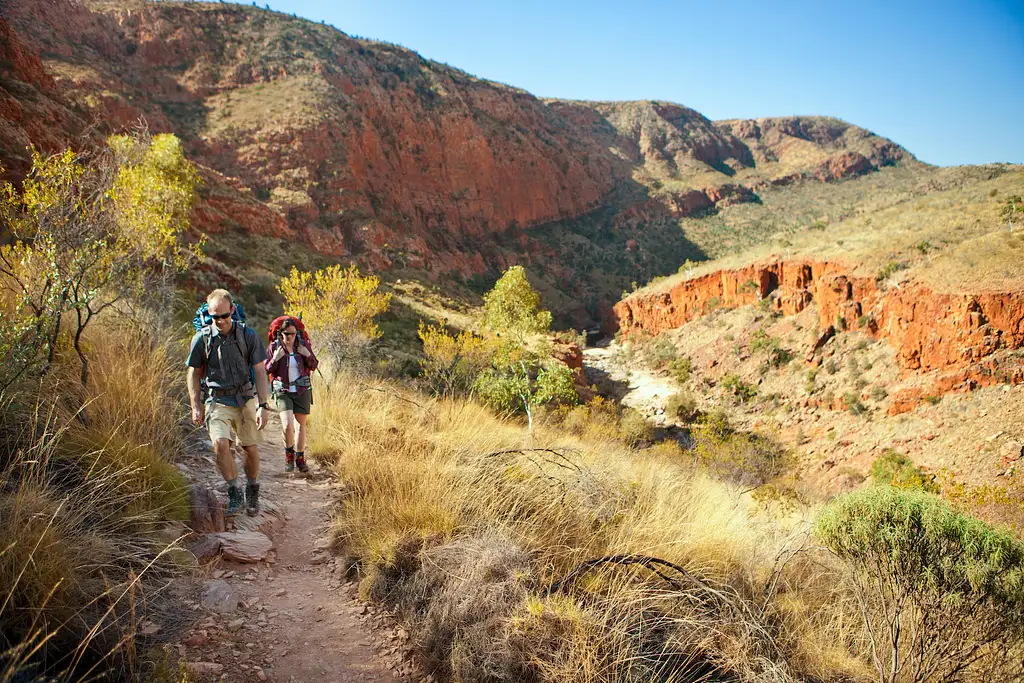 5 Day Larapinta Trail Trek | From Alice Springs