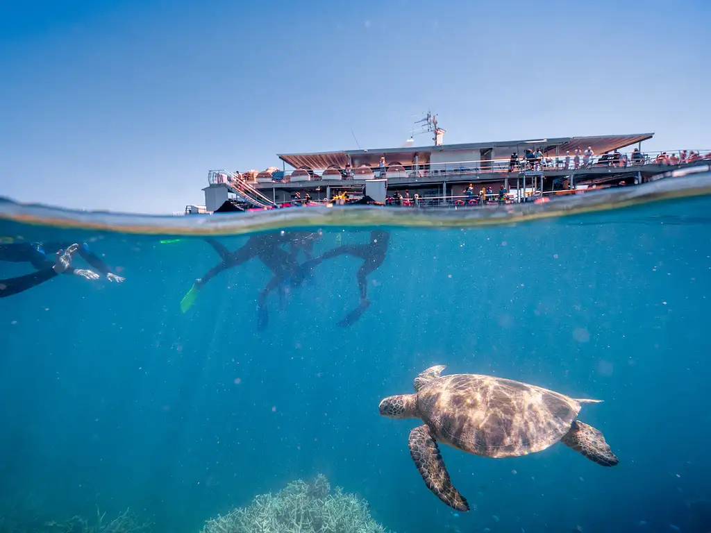 Great Barrier Reef Full Day Experience