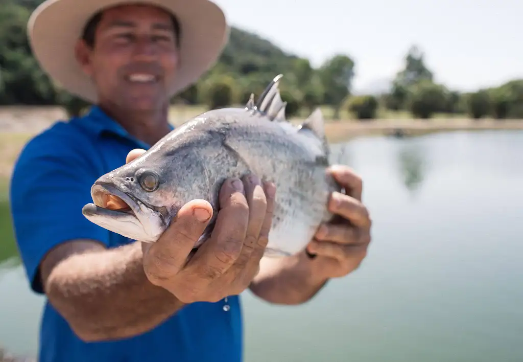 1 Hour Barramundi Fishing Experience