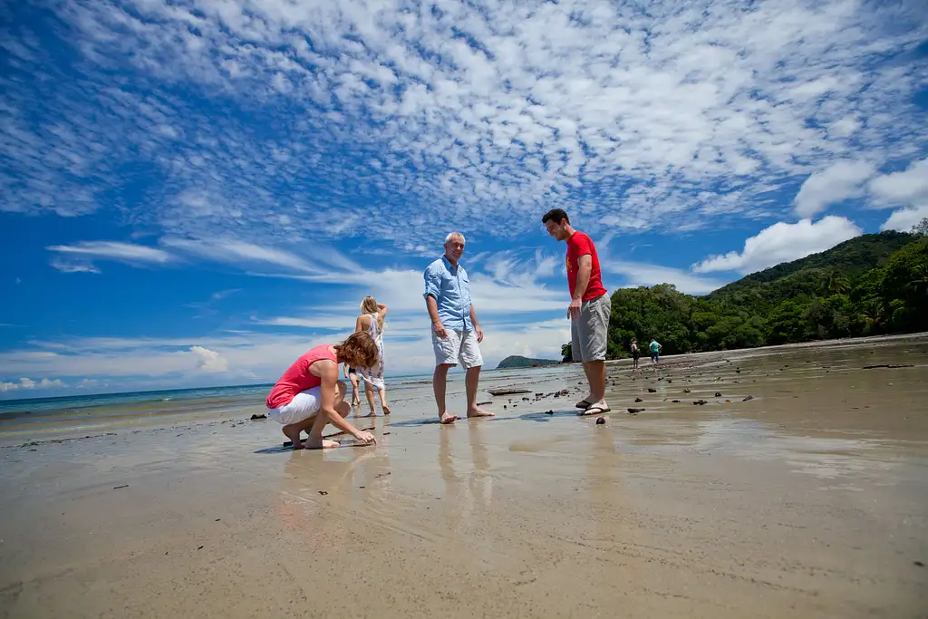 Cape Tribulation, Daintree & Mossman Gorge Day Tour