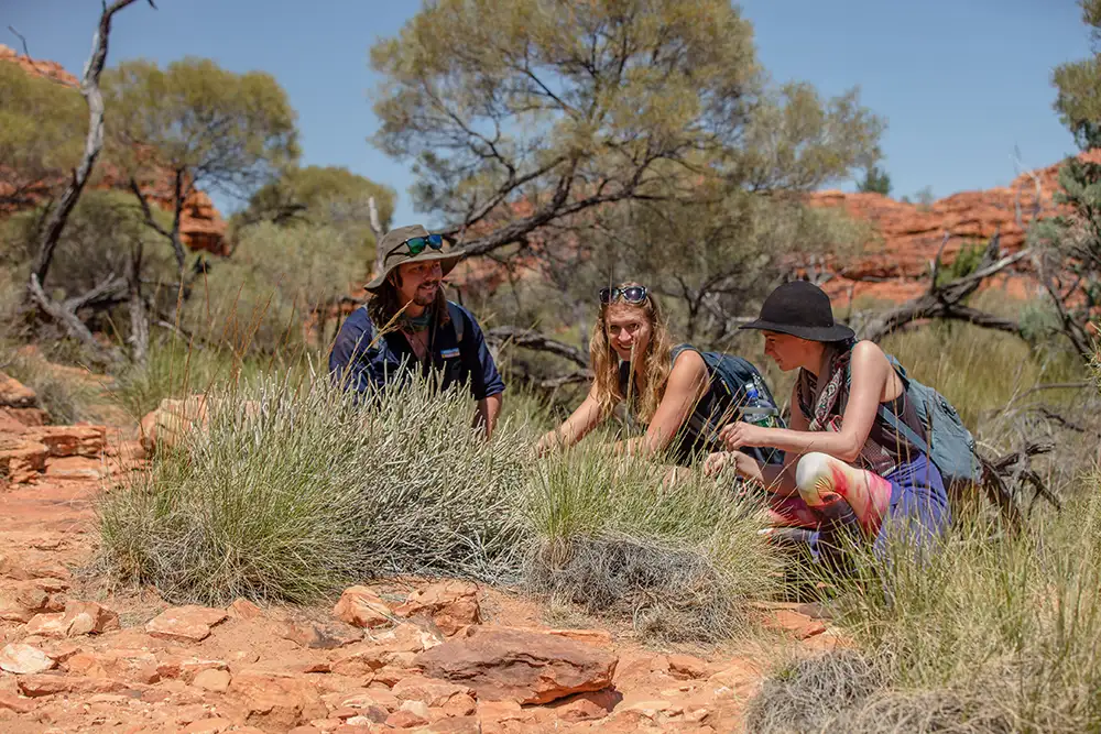 4 Days Uluru and Kings Canyon Tour from Ayers Rock or Alice Springs (Galah)