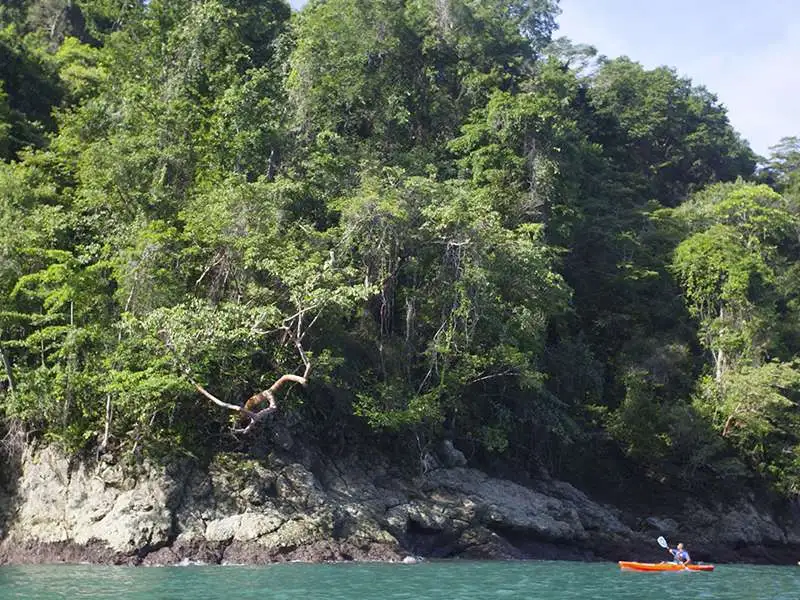 Ocean Kayak & Snorkeling