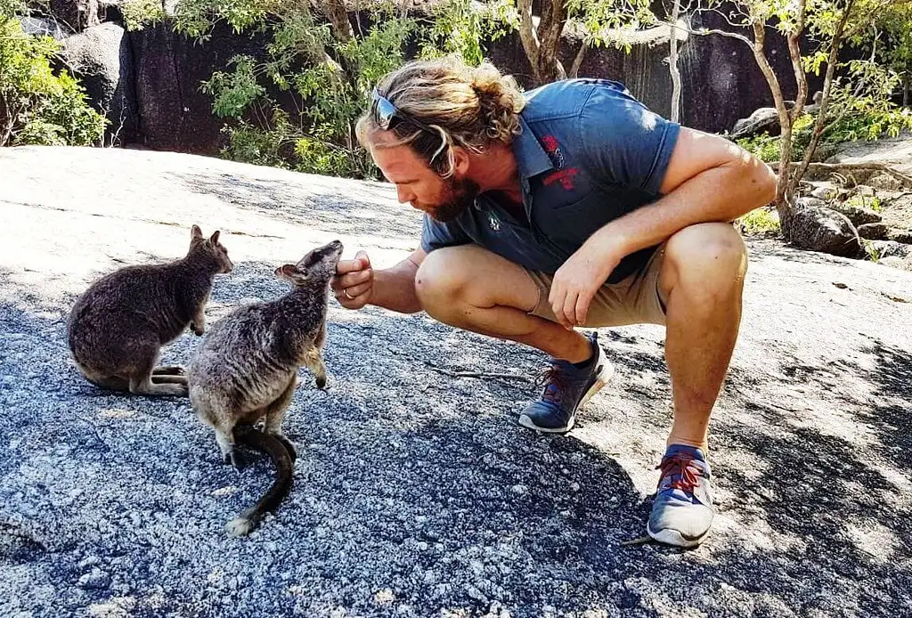 2 Day Cape Tribulation Tour From Cairns