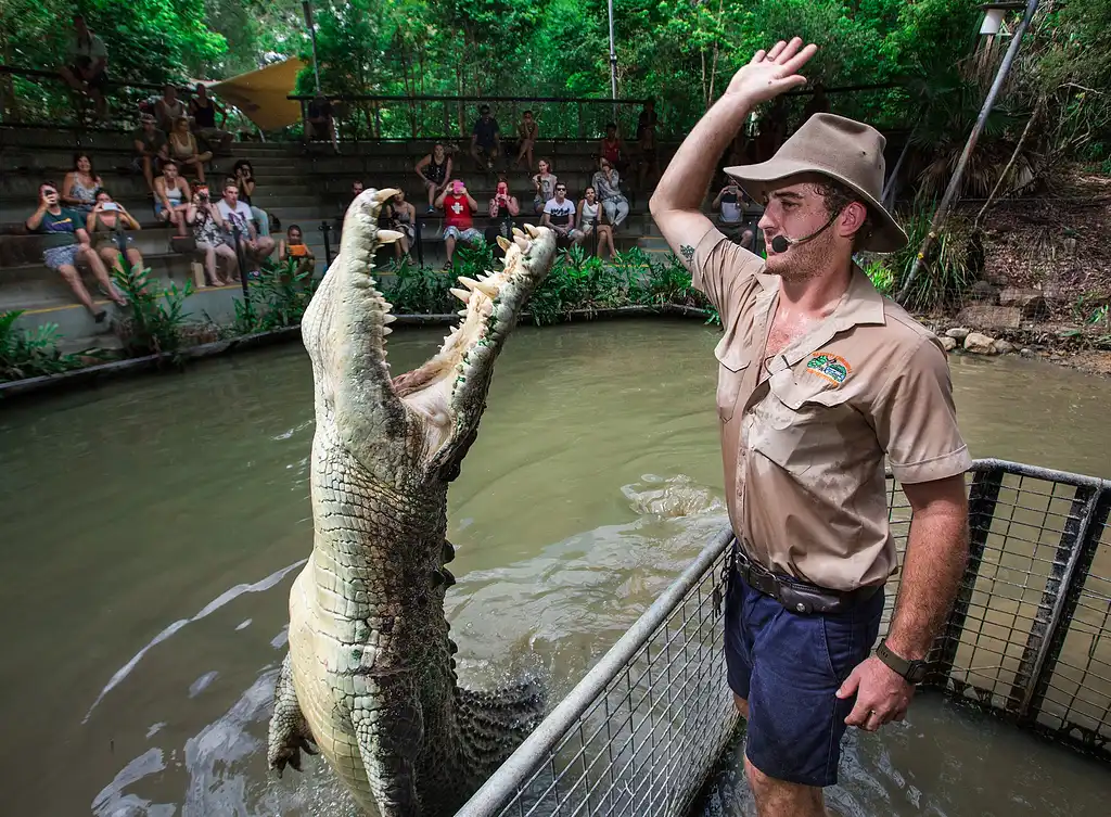 Hartley's Crocodile Adventures Half Day Tour