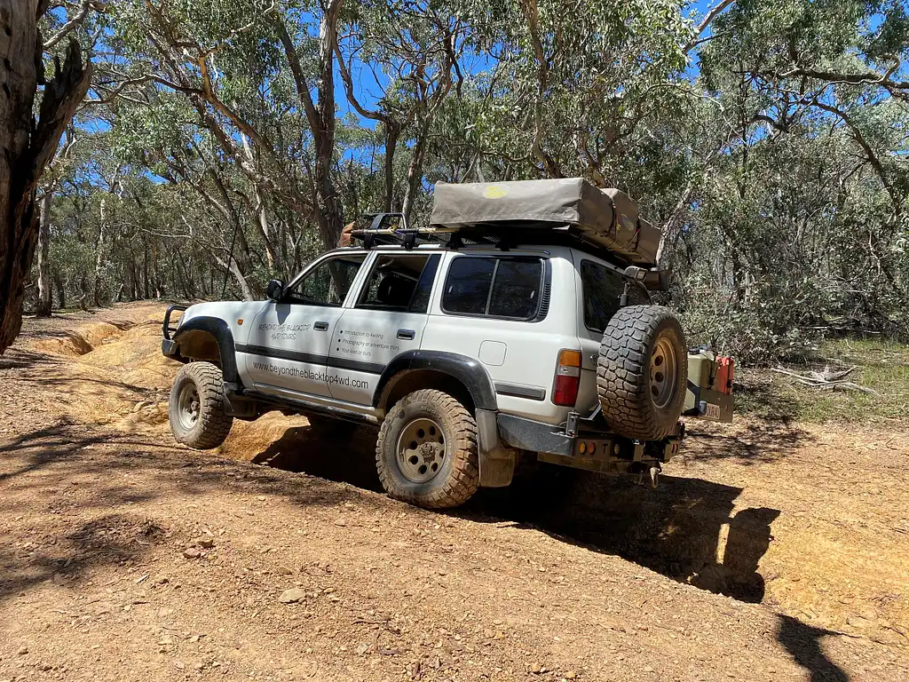 1 Day Guided Tour around the Blue Mountains