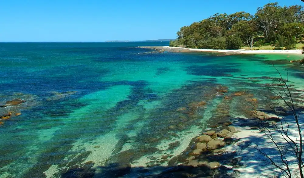 Jervis Bay with Dolphin Cruise | Day Tour from Sydney