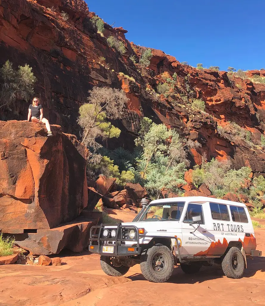 Paint the Night by Moonlight in the Red Centre | 2 Day NT Tour Package