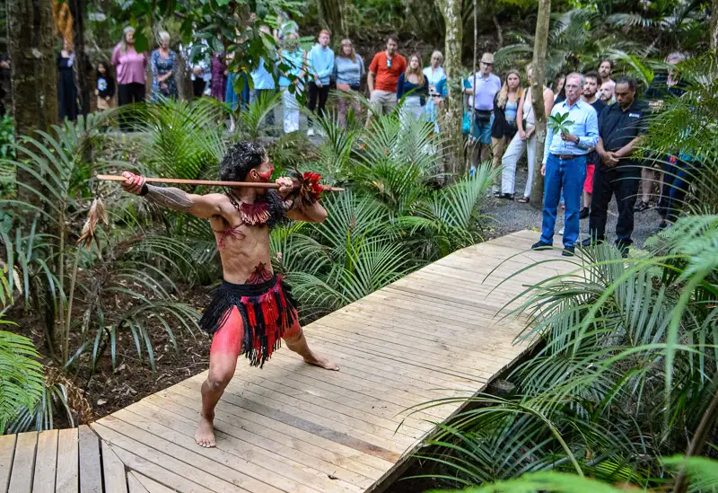 Waitangi Treaty Grounds Combo Pass | Admission, Hāngi, & Concert