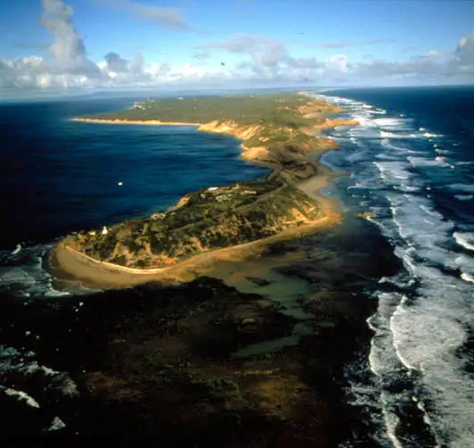 Port Phillip Bay Wildlife Adventure Cruise