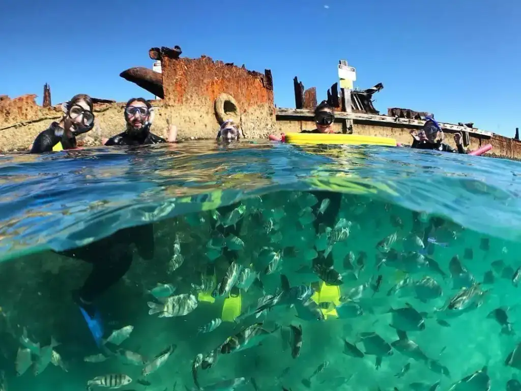 Moreton Island Snorkel, Sandboarding & 4WD Day Trip from Brisbane