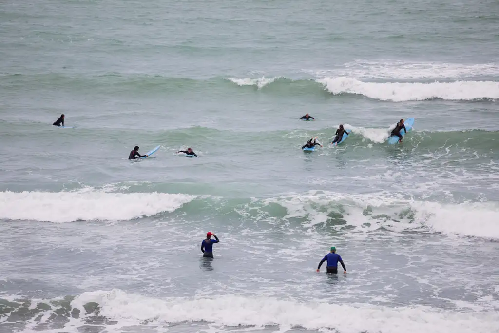 Group Surf Lesson (Raglan, Ngarunui Beach)