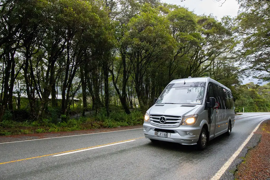 Milford Sound Experience Small Group Tour