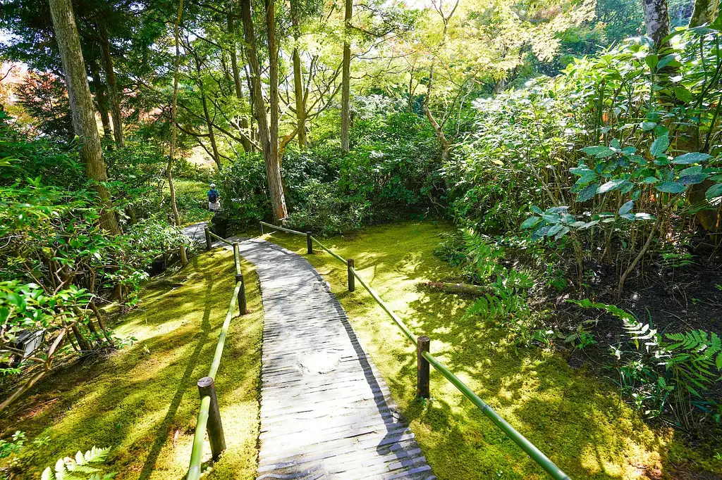 Kyoto Arashiyama Bamboo forest & Garden Half-Day Walking Tour