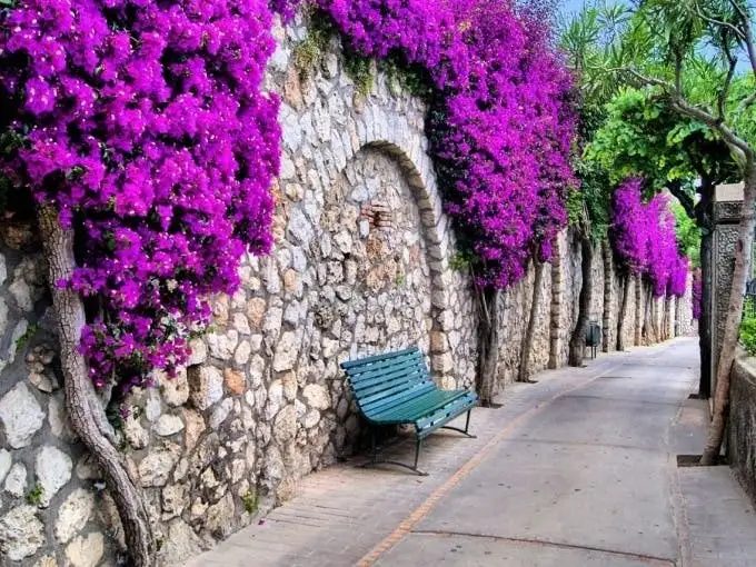 Capri Day Trip From Rome