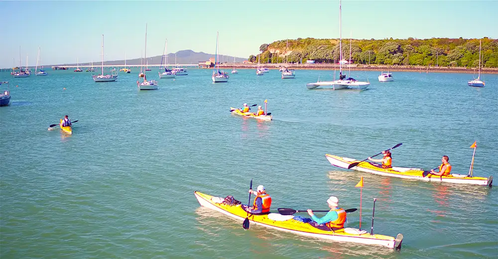 Rangitoto Island Kayaking Tour